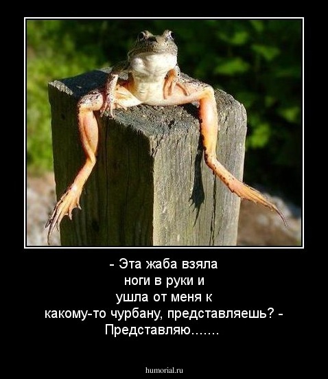 - Эта жаба взяла ноги в руки и ушла от меня  к какому-то чурбану, представляешь?
 - Представляю.......
