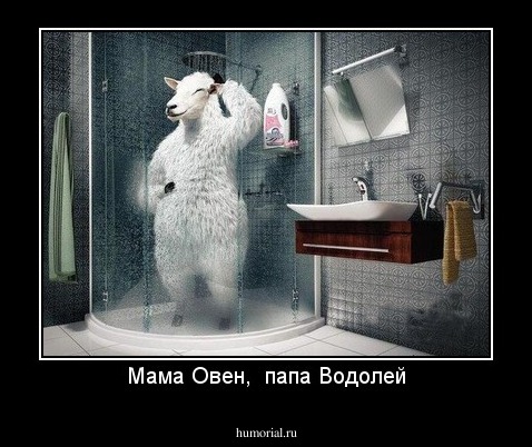 Мама Овен,  папа Водолей