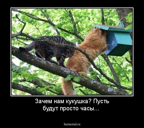 Зачем нам кукушка? Пусть будут просто часы...