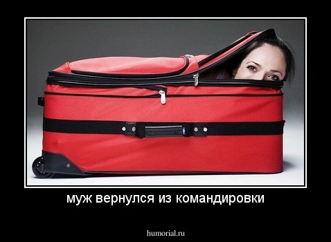 муж вернулся из командировки
