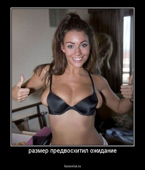 размер предвосхитил ожидание
