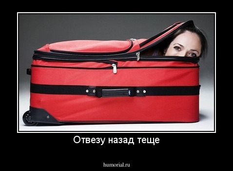 Отвезу назад теще
