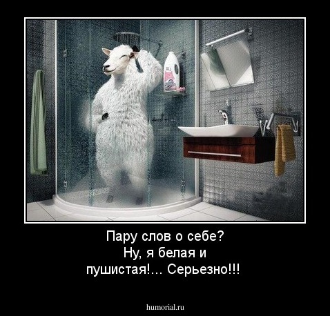 Пару слов о себе? Ну, я белая и пушистая!... Серьезно!!!