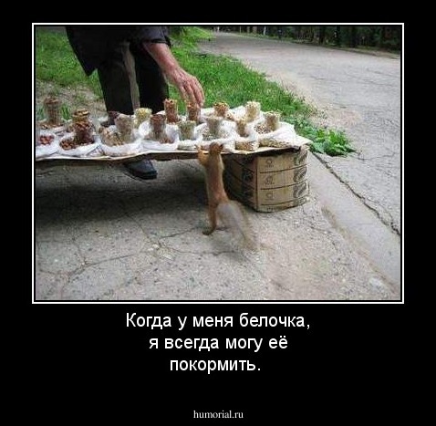 Когда у меня белочка, я всегда могу её покормить.