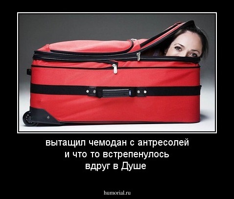 вытащил чемодан с антресолей и что то встрепенулось вдруг в Душе