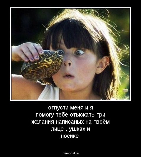 отпусти меня и я помогу тебе отыскать три желания написаных на твоём лице , ушках и носике