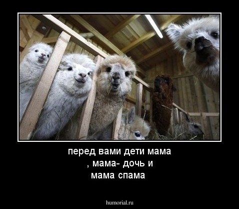 перед вами дети мама , мама- дочь и мама спама