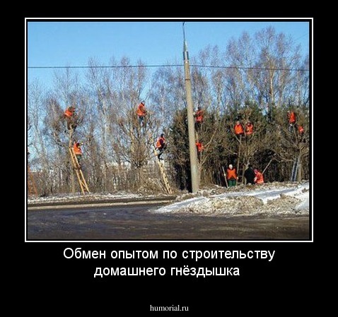 Обмен опытом по строительству домашнего гнёздышка 