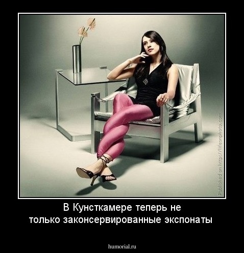 В Кунсткамере теперь не только законсервированные экспонаты 