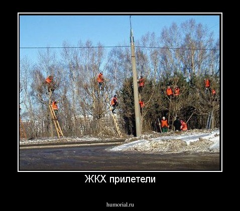 ЖКХ прилетели
