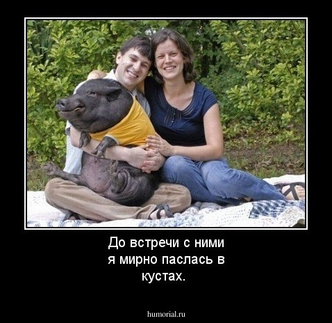 До встречи с ними я мирно паслась в кустах.