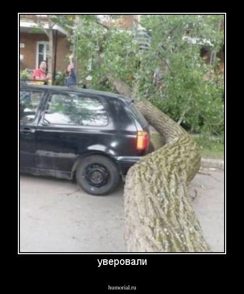 уверовали
