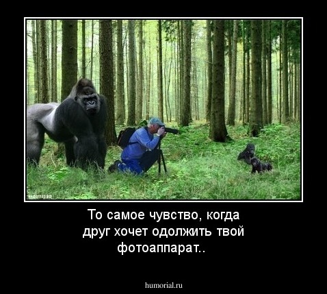 То самое чувство, когда друг хочет одолжить твой фотоаппарат..