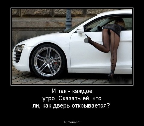 И так - каждое утро.  Сказать ей, что ли, как дверь открывается?