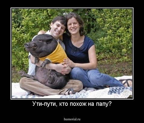 Ути-пути, кто похож на папу?