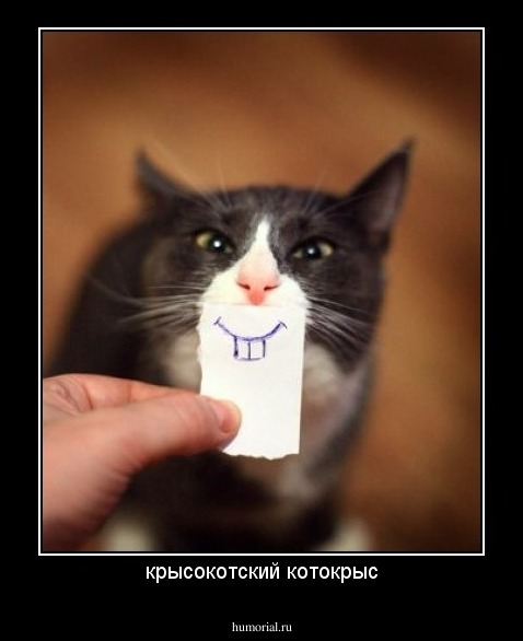 крысокотский котокрыс