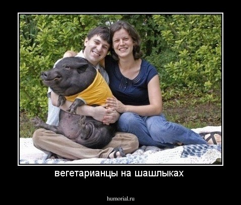 вегетарианцы на шашлыках 