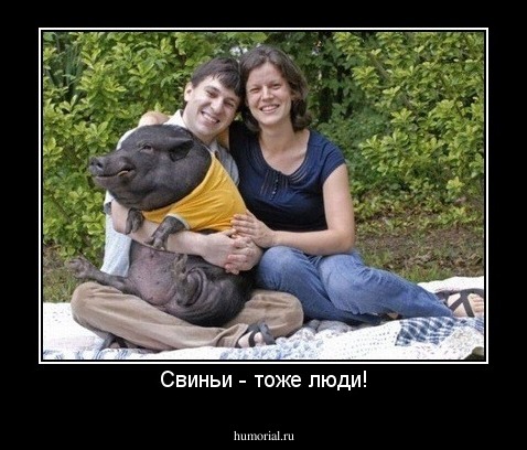 Свиньи - тоже люди!