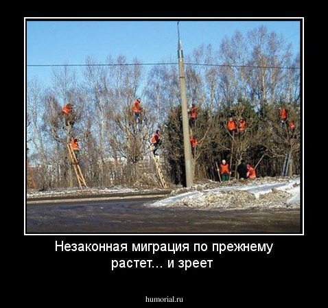 Незаконная миграция по прежнему растет... и зреет 