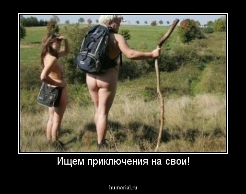 Ищем приключения на свои!