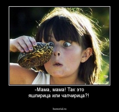  -Мама, мама! Так это яшпирица или чапчирица?!