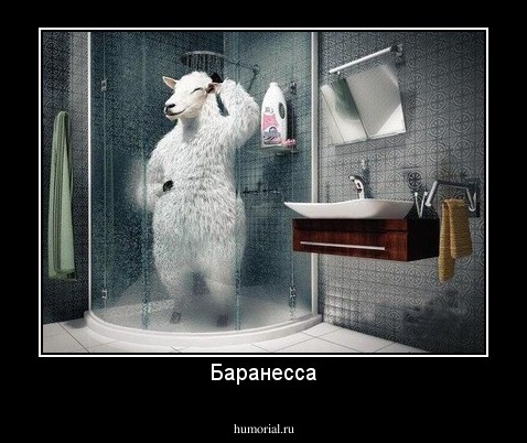 Баранесса