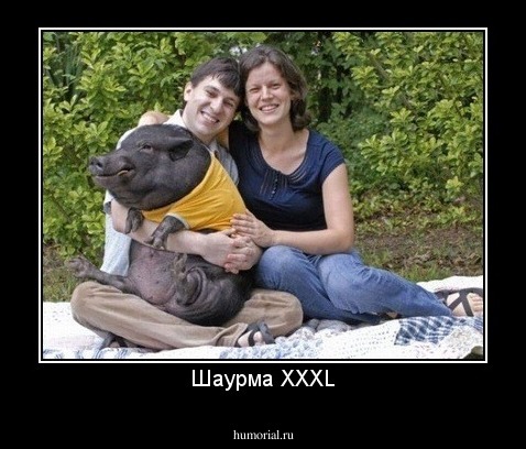 Шаурма XXXL