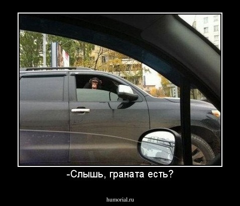-Слышь, граната есть?