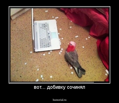 вот... добивку сочинял
