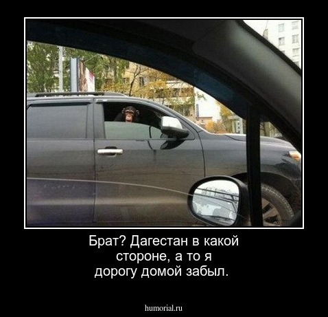 Брат? Дагестан в какой стороне, а то я дорогу домой забыл.