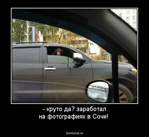 - круто да? заработал на фотографиях в Сочи!