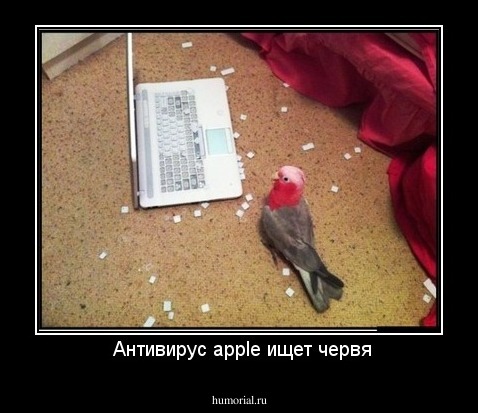  Антивирус apple ищет червя