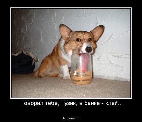 Говорил тебе, Тузик, в банке - клей..