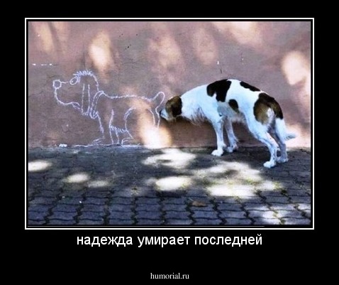 надежда умирает последней