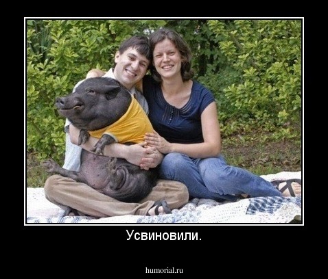 Усвиновили.