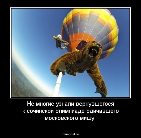Не многие узнали вернувшегося к сочинской олимпиаде одичавшего московского мишу