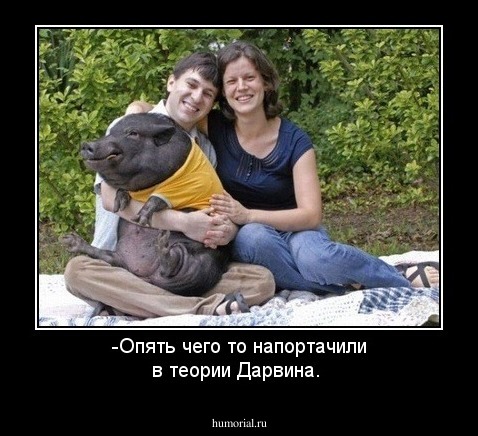 -Опять чего то напортачили в теории Дарвина.