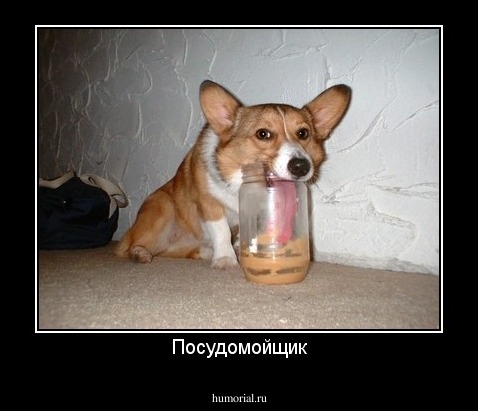 Посудомойщик