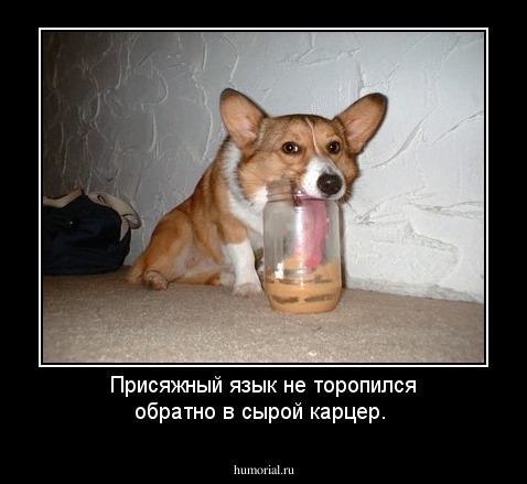 Присяжный язык не торопился обратно в сырой карцер.