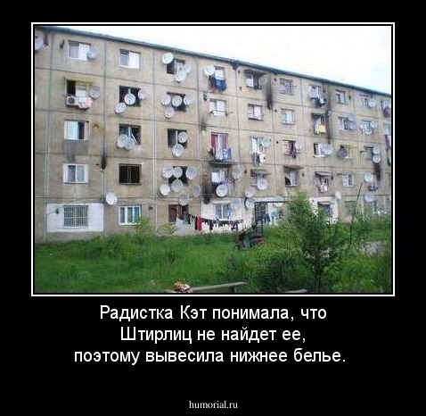 Радистка Кэт понимала, что Штирлиц не найдет ее, поэтому вывесила нижнее белье.