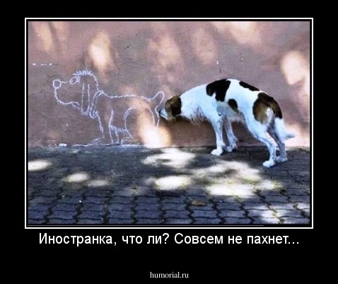 Иностранка, что ли? Совсем не пахнет...