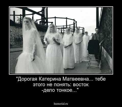 "Дорогая Катерина Матвеевна... тебе этого не понять: восток -дело тонкое..."