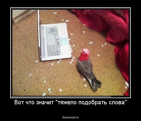 Вот что значит "тяжело подобрать слова"