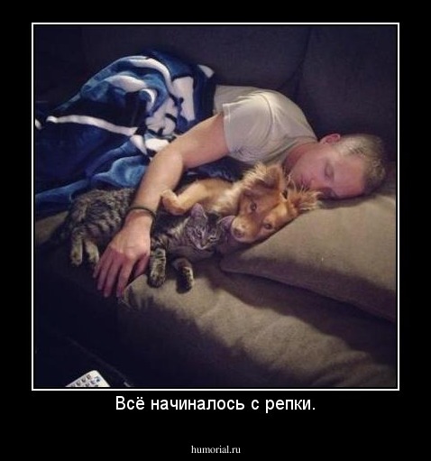 Всё начиналось с репки.