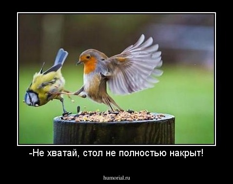 -Не хватай, стол не полностью накрыт!