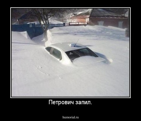 Петрович запил.