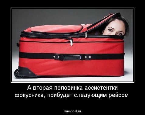 А вторая половинка ассистентки фокусника, прибудет следующим рейсом
