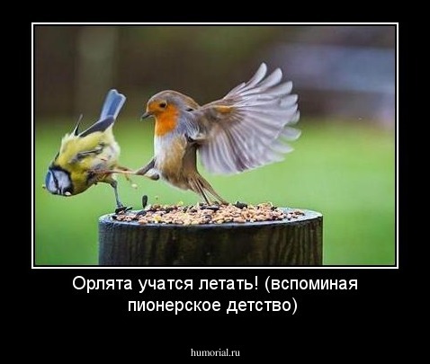 Орлята учатся летать! (вспоминая пионерское детство)