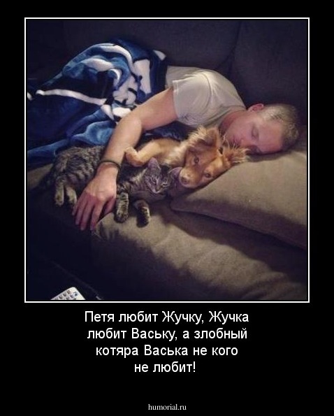 Петя любит Жучку,
Жучка любит Ваську,
а злобный котяра Васька не кого не любит!