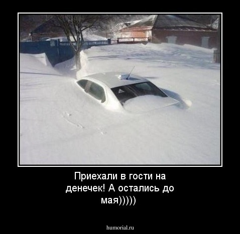 Приехали  в гости на денечек!  А остались до мая)))))